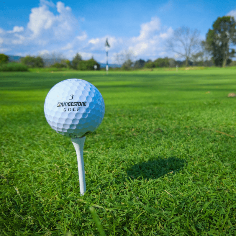 plastic golf tee and bamboo tee on grass