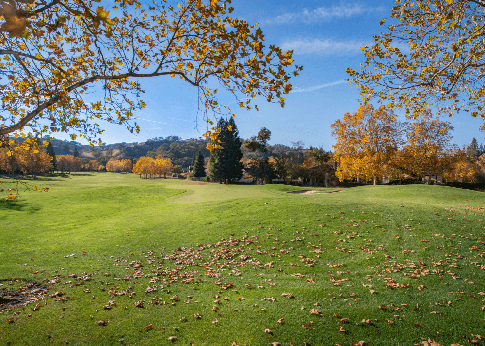 golf course in autumn