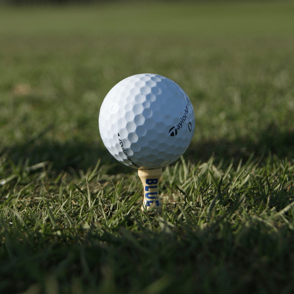 golf ball on bamboo golf tee